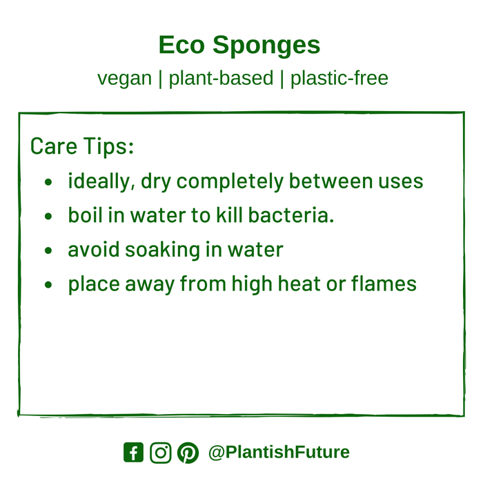 Plantish - Eco Sponge: Set of 2