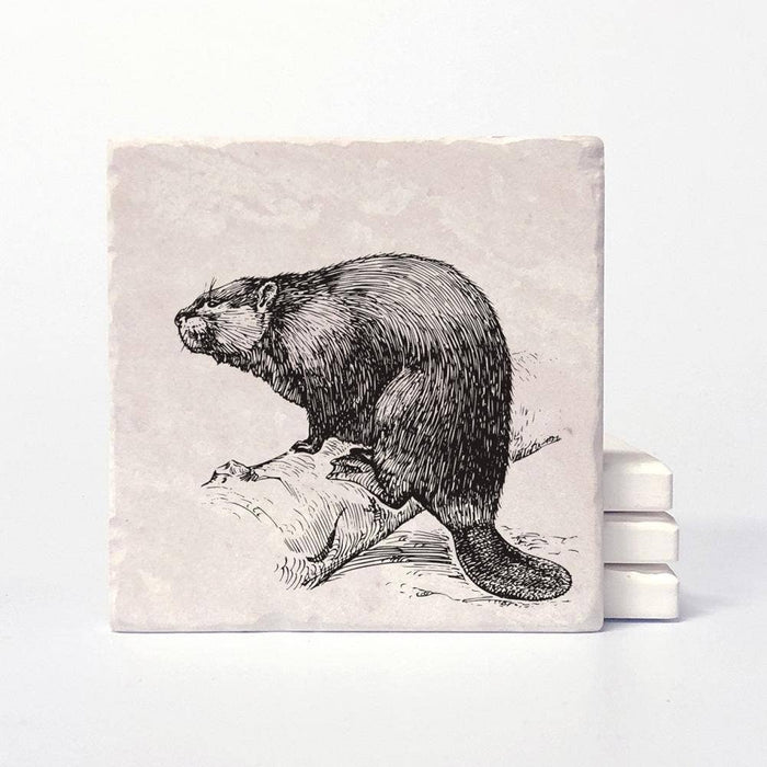 Versatile Coasters CA - Beaver Coasters: 4"x4"