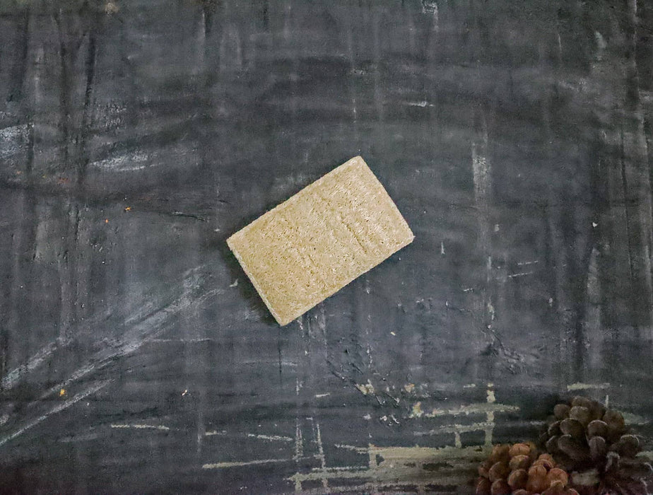 Plantish - Eco Sponge: Set of 2