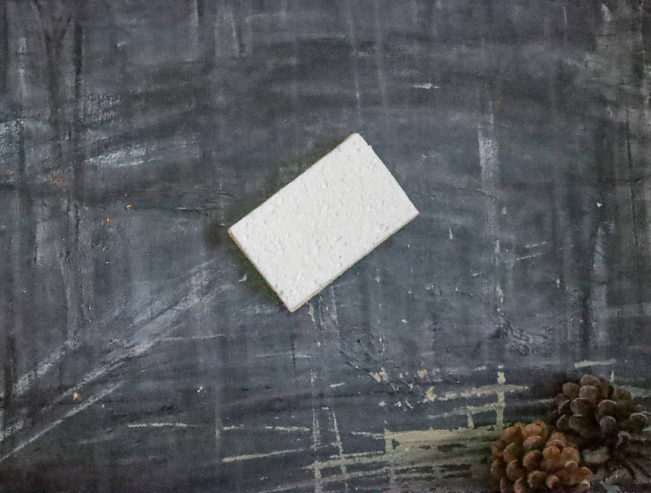 Plantish - Eco Sponge: Set of 2