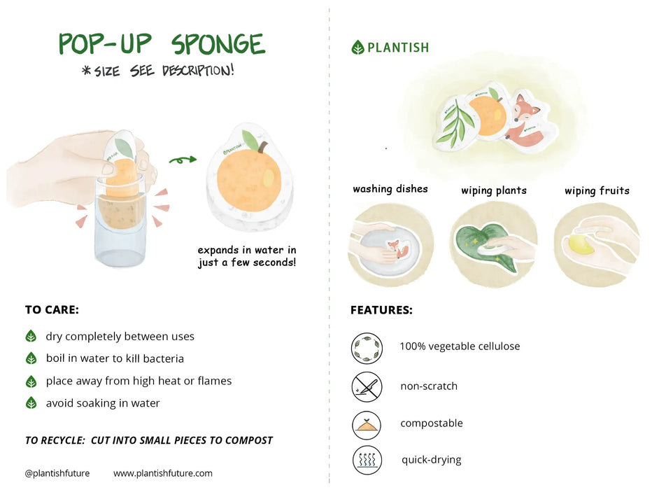 Plantish - Whale - Pop up Sponge