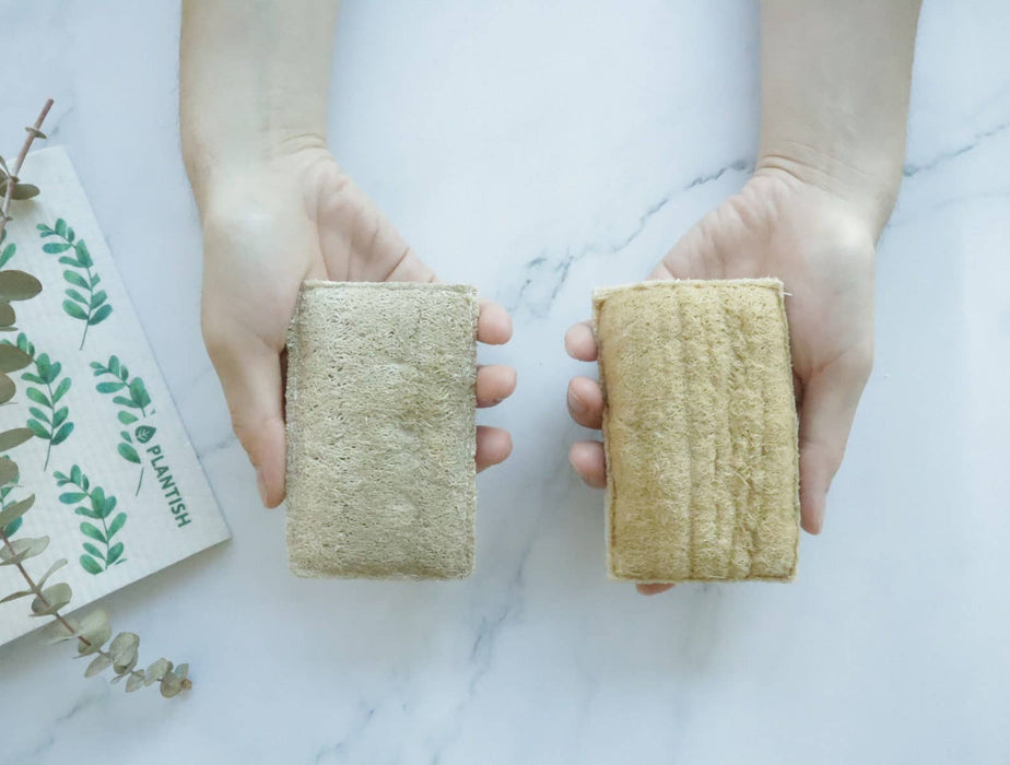 Plantish - Eco Sponge: Set of 2