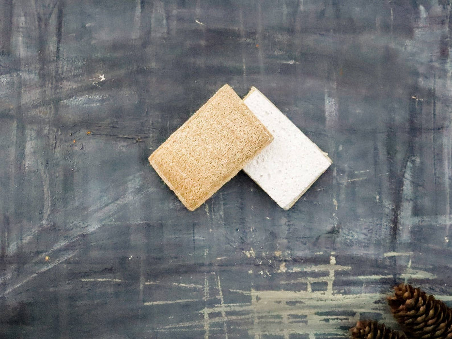 Plantish - Eco Sponge: Set of 2