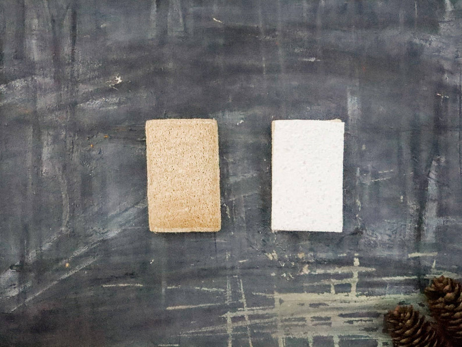 Plantish - Eco Sponge: Set of 2
