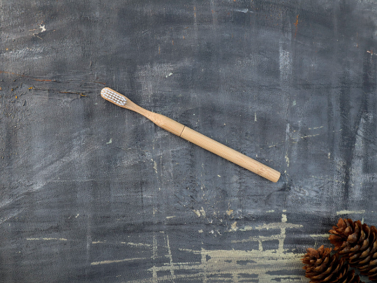 Plantish - Refillable Bamboo Toothbrush