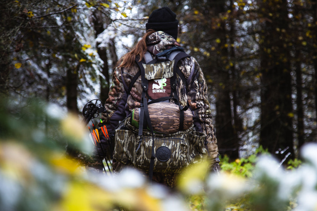 All Day Lumbar Pack