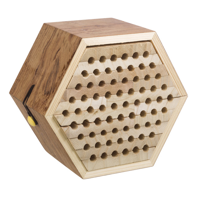 Bee Habitat in Natural Wood