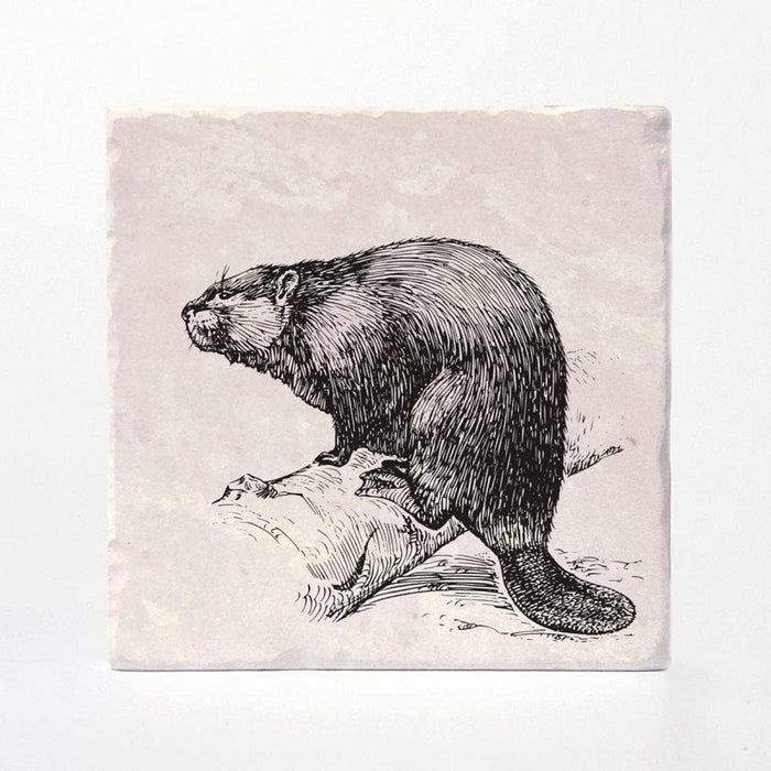 Versatile Coasters CA - Beaver Coasters: 4"x4"