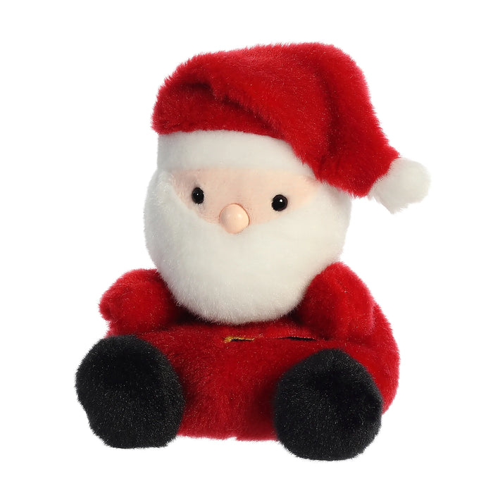 Santa Palm Pal