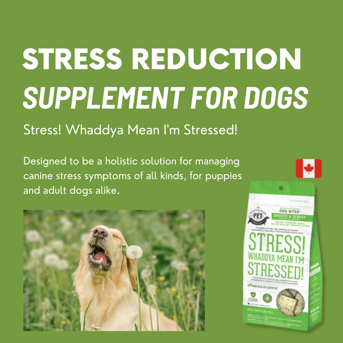 The Granville Island Pet Treatery - [CA only] Nutra Homeopathic Stress Dog Supplement Herbal