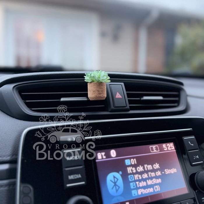 Vroom Blooms - Aqua Succulent Vent Clip Car Air Freshener Diffuser Reusable: Wild Honeysuckle