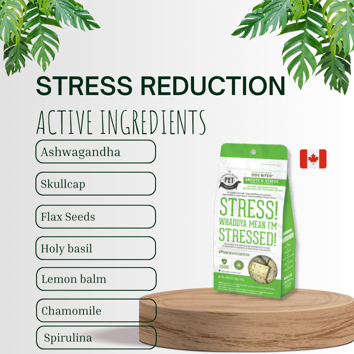 The Granville Island Pet Treatery - [CA only] Nutra Homeopathic Stress Dog Supplement Herbal