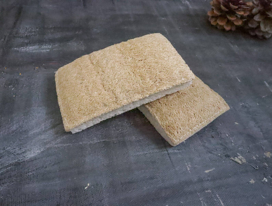 Plantish - Eco Sponge: Set of 2