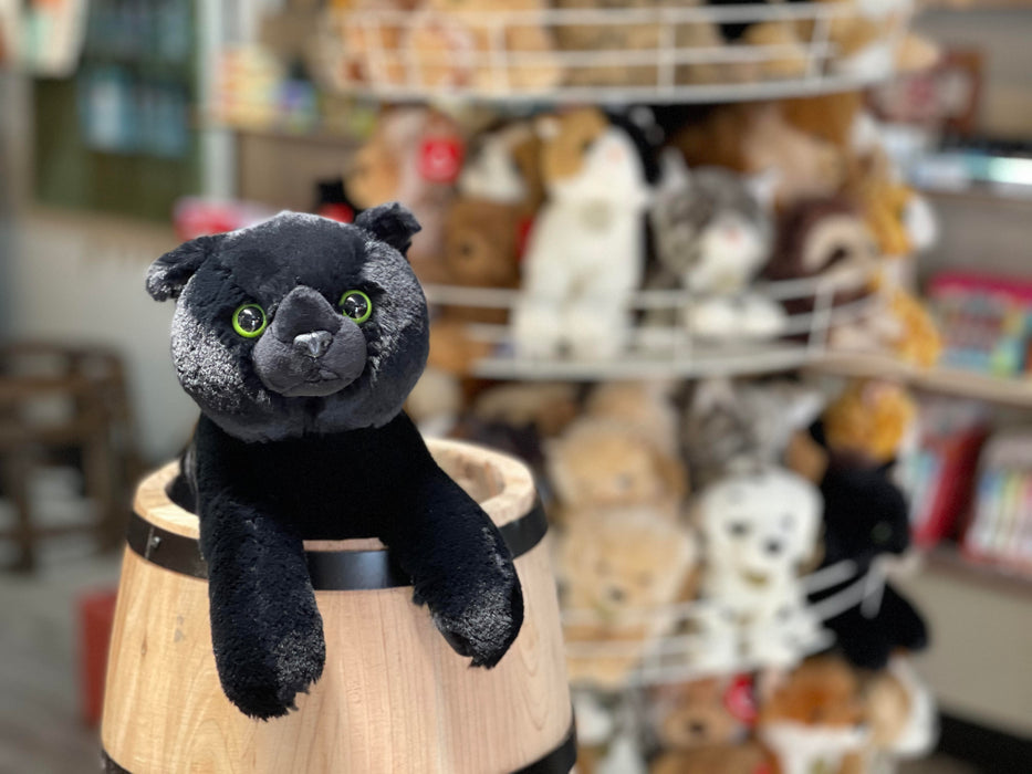 Twilight the Stuffed Black Cat